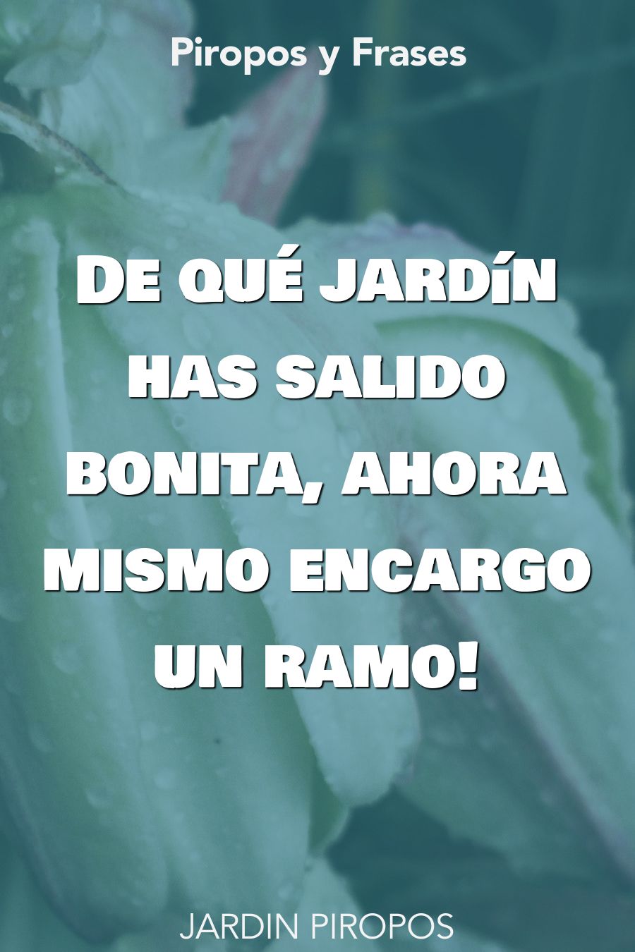 piropos jardin para hombres